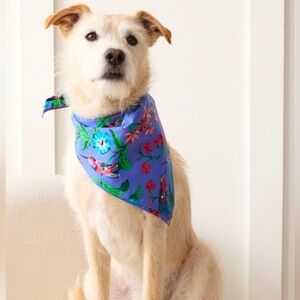 Printfresh Hummingbird Haven - Pet Bandana - Crocus Medium
